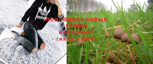 не бодяженный Алзамай